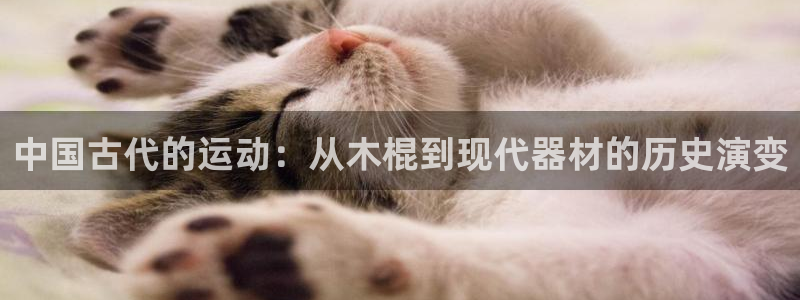征途国际招商电话地址查询：中国古代的运动：从木棍到现