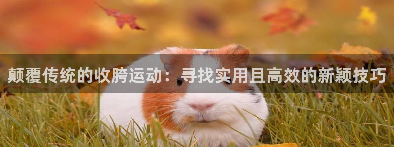 征途国际代理