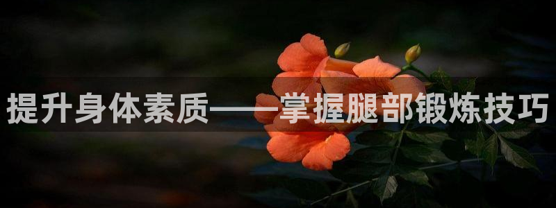 征途国际招商电话是多少号码：提升身体素质——掌握腿部锻炼技巧