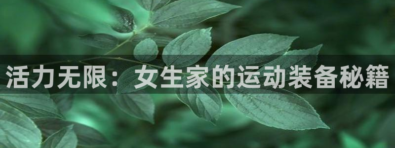 征途国际招商电话号码