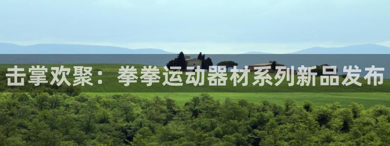 德国征途国际集团