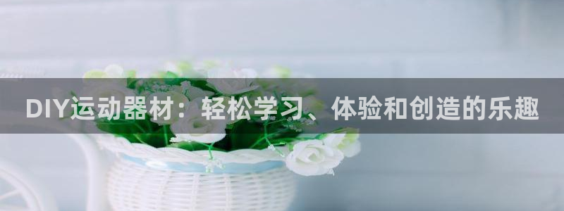 征途国际平台注册：DIY运动器材：轻松学习、体验和创造的乐趣