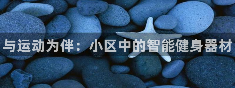 征途国际集团简介