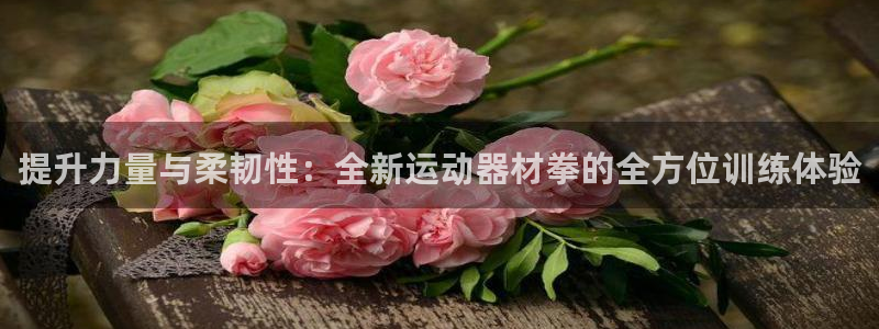 征途国际集团官网：提升力量与柔韧性：全新运动器材拳的全方位训