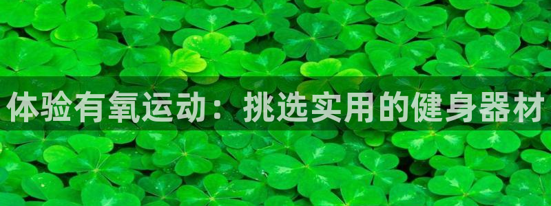 征途国际招商电话地址：体验有氧运动：挑选实用的健身器材