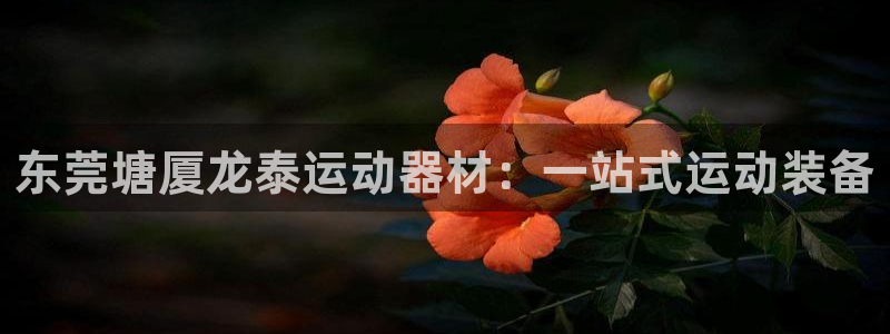 征途国际娱乐平台：东莞塘厦龙泰运动器材：一站式运动装