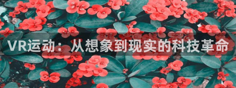 征途国际平台APP