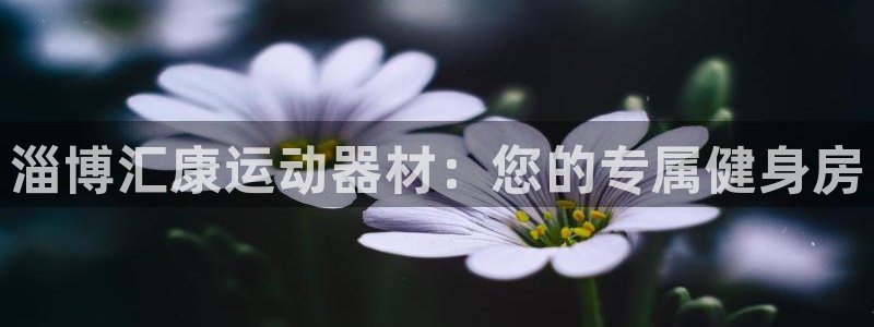 征途国际平台注册：淄博汇康运动器材：您的专属健身房