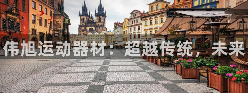 征途国际招商电话号码查询是多少：伟旭运动器材：超越传统，未来