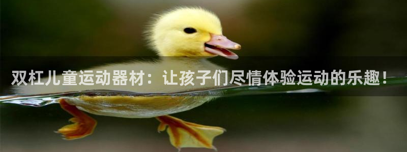征途国际招商电话号码是多少啊：双杠儿童运动器材：让孩子们尽情