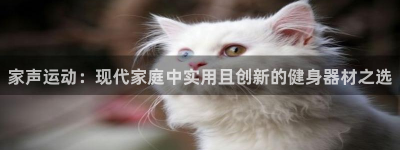 征途国际集团官网首页网址：家声运动：现代家庭中实用且创新的健