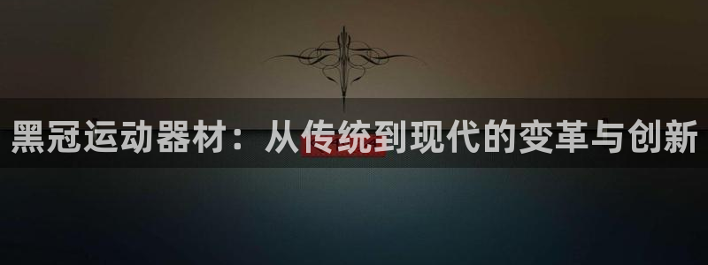 征途国际平台注册流程图：黑冠运动器材：从传统到现代的