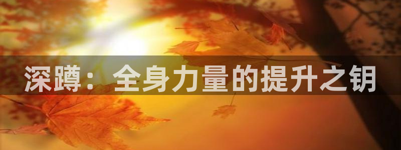 征途国际集团