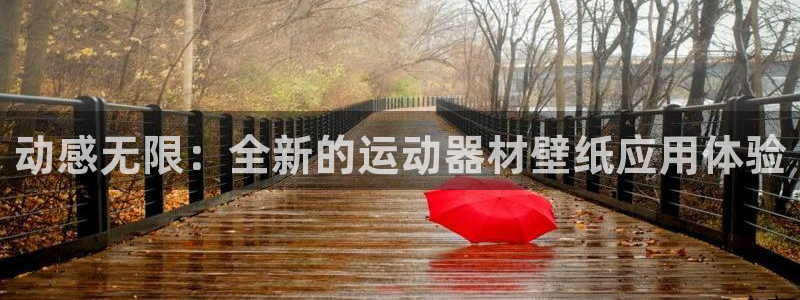 征途国际平台注册流程图：动感无限：全新的运动器材壁纸应用体验