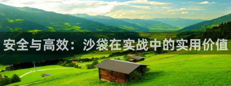 征途国际平台假的吗是真的吗:安全与高效:沙袋在实战中的实用价