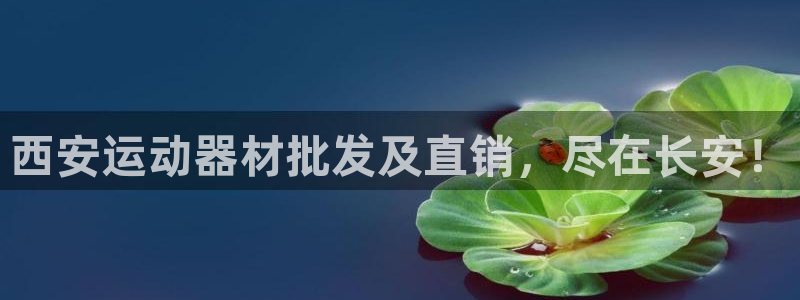 征途国际招商电话号码是多少啊：西安运动器材批发及直销，尽在长